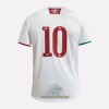 Officiële Voetbalshirt Fluminense Uit 2020-21 - Heren